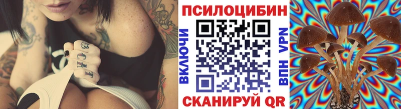 Галлюциногенные грибы Magic Shrooms Новосиль