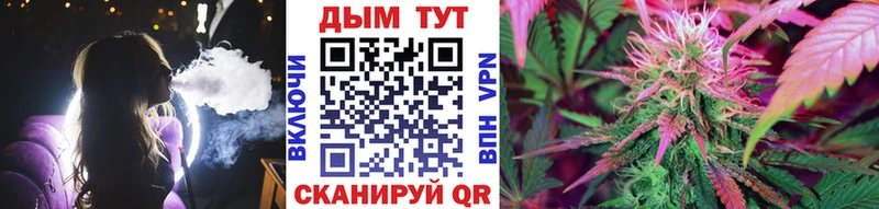 Шишки марихуана гибрид Новосиль